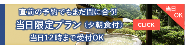 当日予約限定プラン