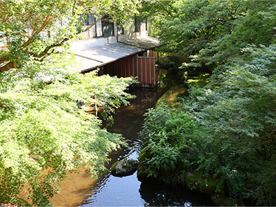 和室二間（50㎡）　本館