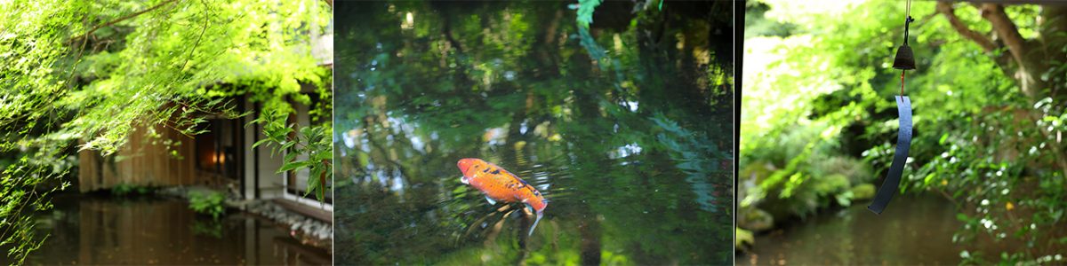 池庭を望む本館客室