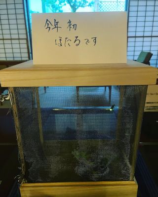 公式 海石榴 つばき 奥湯河原温泉の高級料亭温泉旅館